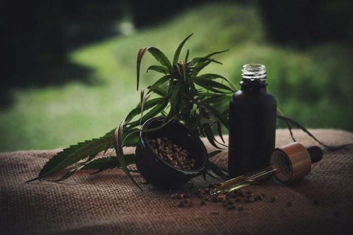 cbd olejek cbd olejek