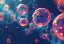 Rewolucja w regeneracji tkanek: potencjał nanomateriałów nanomedycyna